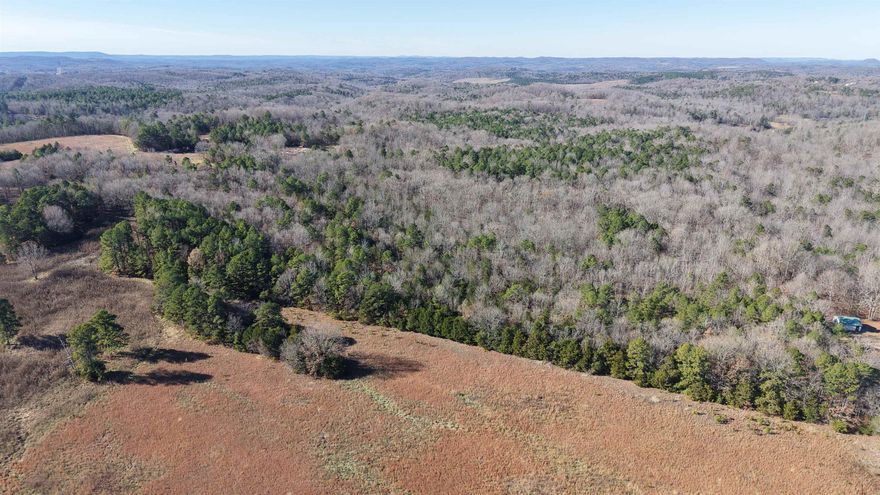 Located in Sage, Arkansas off State Hwy 69, this versatile 10-acre property offers endless possibilities for your next home, business venture, or investment project. The land features a blend of wooded and cleared areas, along with a large flat section perfect for building a home, cabin, shop, or even developing your next business adventure—such as a camper or RV site. With some utilities available, including electricity nearby, getting started is easier than ever.  The property offers excellent State Hwy 69 frontage, giving you convenient access while still maintaining a rural setting. Just minutes from both Melbourne and Mount Pleasant, you’ll enjoy country living with quick access to schools, shopping, and essential amenities.  This is a rare opportunity to secure a beautiful, usable piece of North Central Arkansas land—ready for residential, recreational, hunting, or commercial use. Listed for only $89,900!