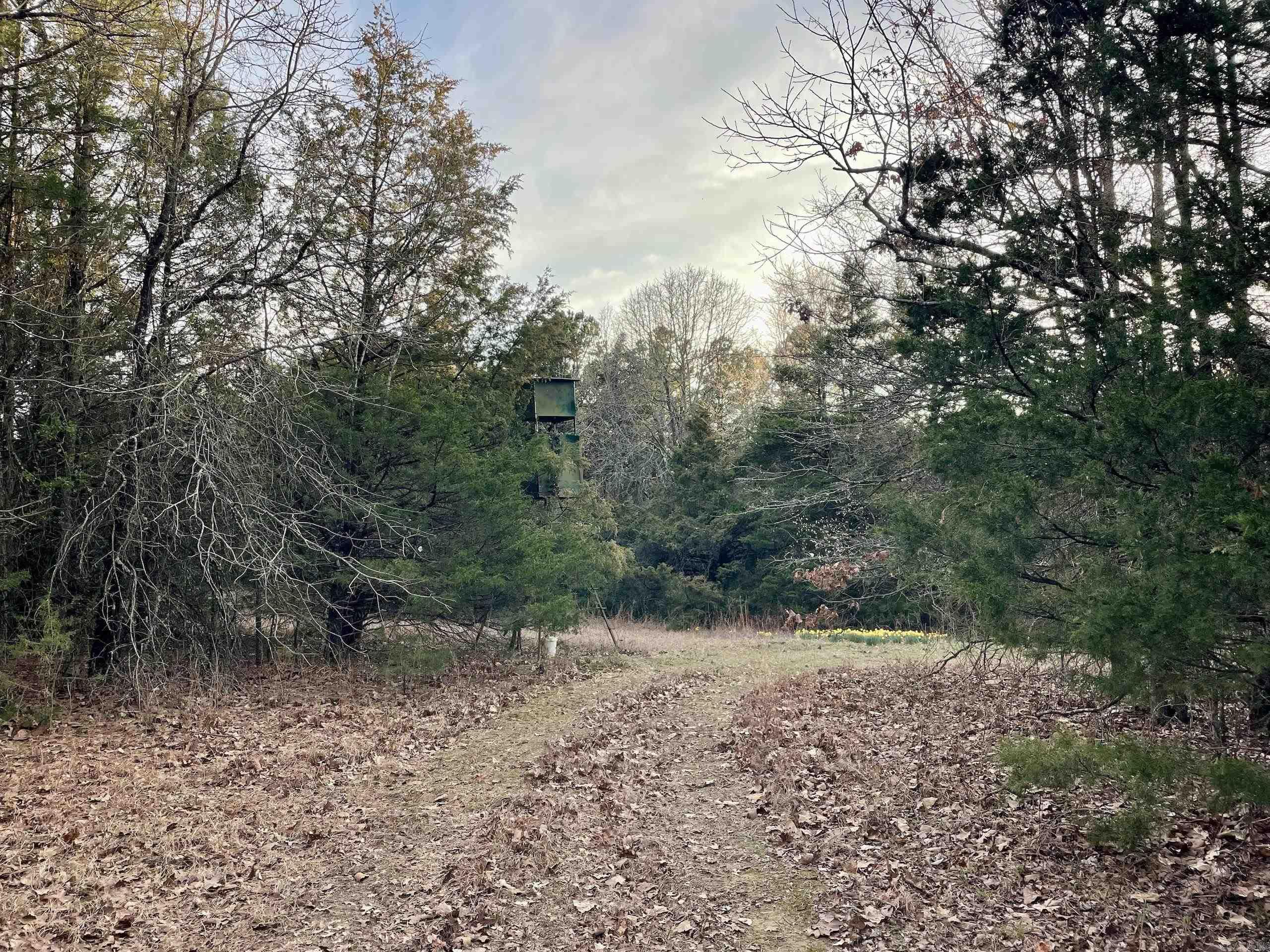 Metes & Bounds - Land