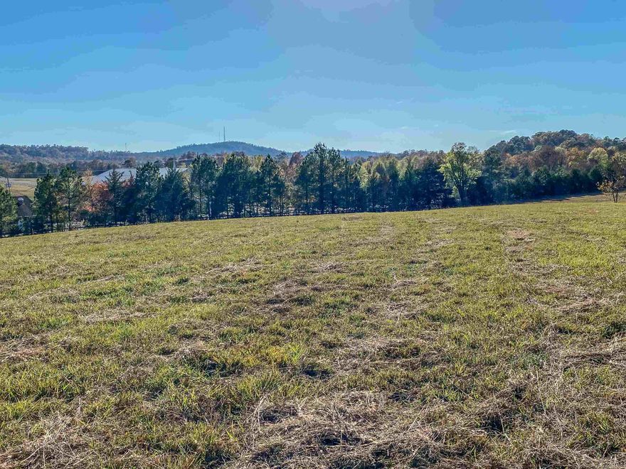 Beautiful 10.59-acre back tract offering the perfect blend of privacy and scenic countryside views. The property features a gently rolling landscape with an ideal homesite positioned to capture peaceful views of the neighboring pond and surrounding mountains. Access is provided by a long, private sliver of land extending from Sunshine Road, creating a secluded setting tucked away from the road. With plenty of space to spread out and enjoy nature, this property offers a wonderful opportunity to build your dream home in the country while still being conveniently located near Lake Hamilton School—one of Hot Springs’ most sought-after school districts.