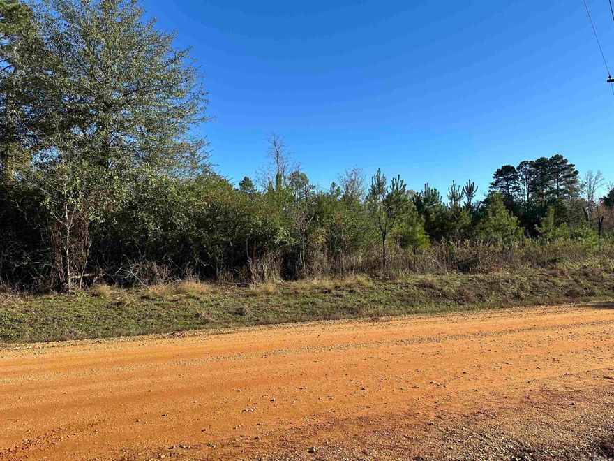 The Judge Roberts Road South Tract is in the west-central part of Bradley County, Arkansas approximately 6.5 miles southwest of Warren.  Access to the property is good from Judge Roberts Road, a county-maintained gravel road. There are typical rural utilities (electric, phone, and rural water) on this road. This tract was planted with loblolly pine in 2020 that provides a great timber investment! Whether you are looking for a place to build your dream home, convert the plantation to pasture and build a farm, keep the tract as a timberland investment, or just looking for a place to hunt or just ‘get away’, check on the ‘Judge Roberts Road South Tract’!