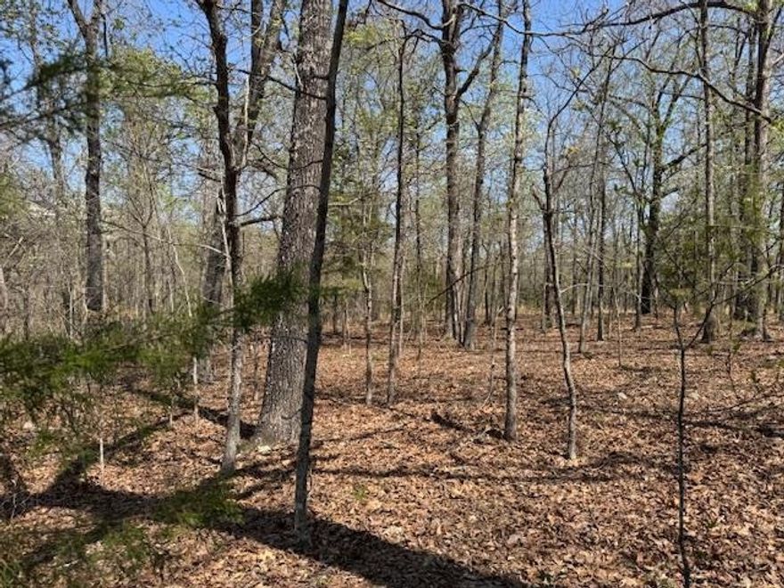 This flat lot presents an excellent opportunity for building in Horseshoe Bend, Arkansas. Situated on a main road, it offers convenient access to the town's amenities and attractions. The property is currently wooded with mature trees, providing a natural setting. Prospective buyers should be aware that a state-approved percolation test and a survey will be necessary before any construction can commence. In addition to its prime location, this lot benefits from a low annual fee of $80.00 dedicated to Parks and Recreation. This contributes to the upkeep and enhancement of local recreational facilities, offering residents opportunities for outdoor activities and enjoyment. This combination of accessibility, natural surroundings, and community investment makes this a desirable piece of land.