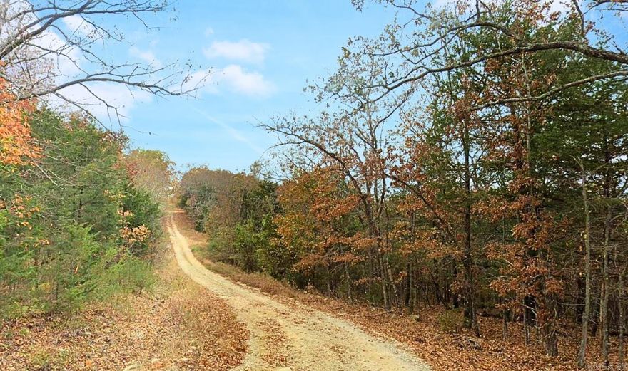 0l21 Acre property - Boone County - Owner Financing Available
