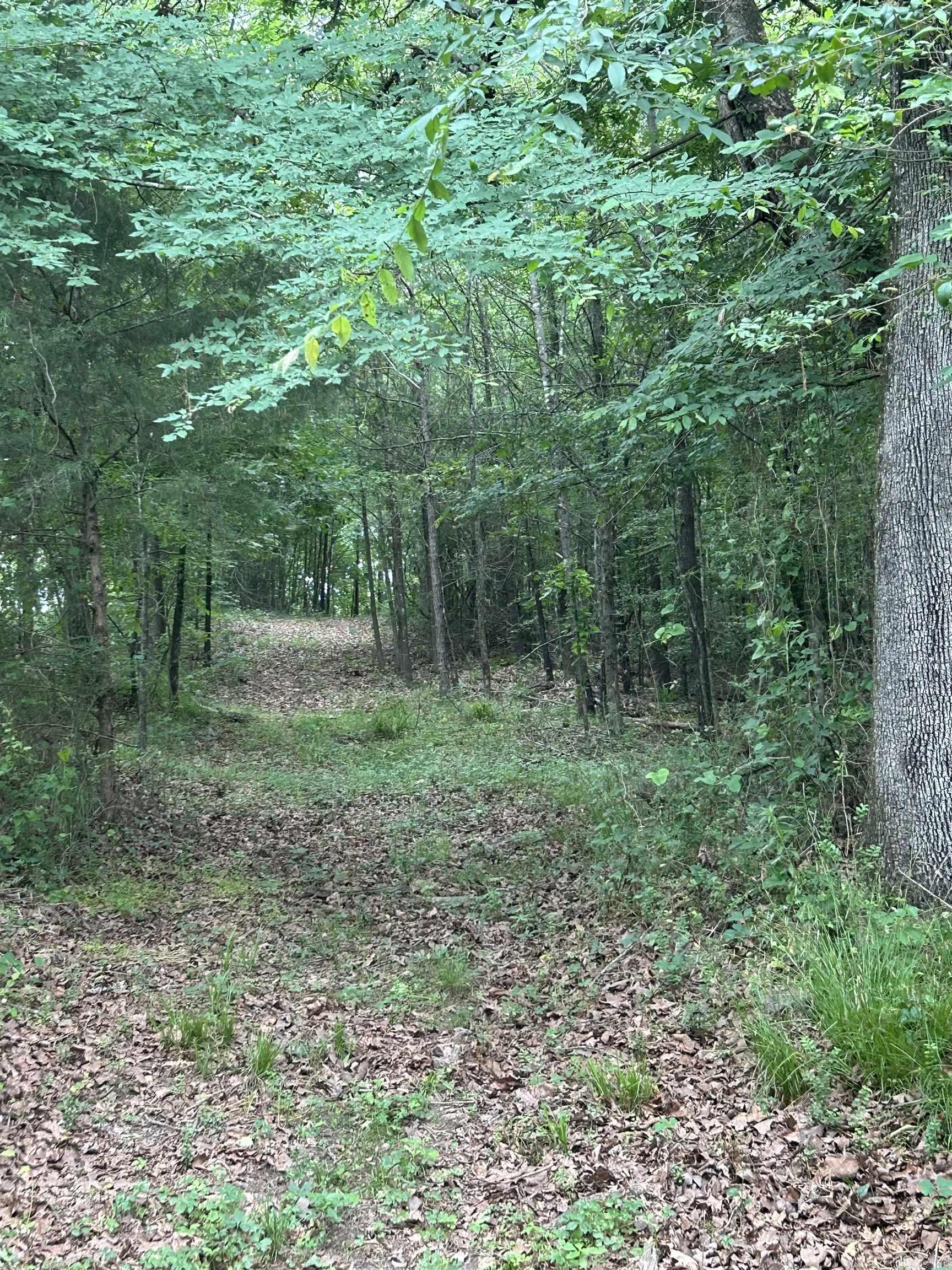 Wickes 19-5-31 - Land