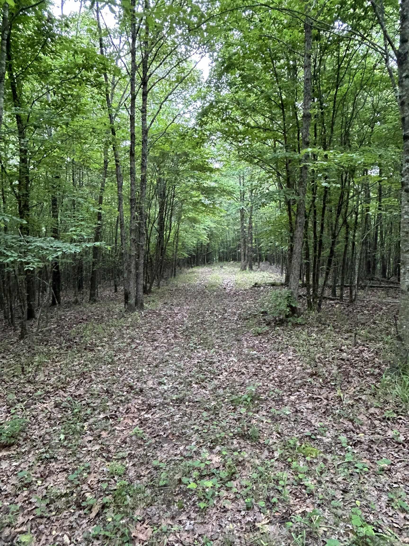 Wickes 19-5-31 - Land