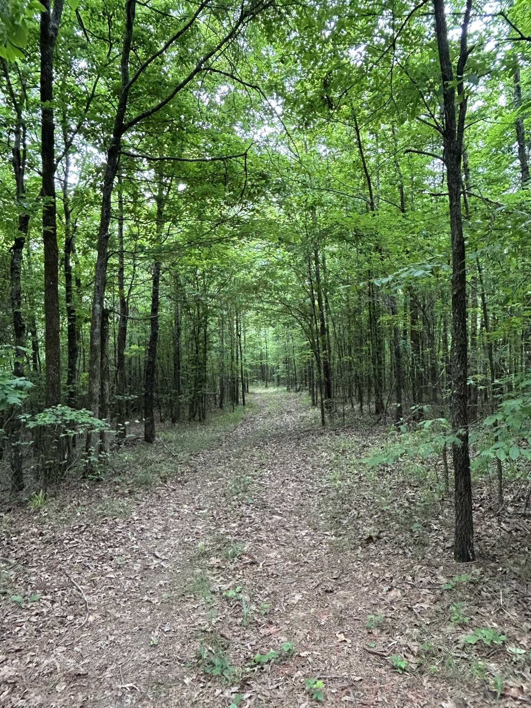 Wickes 19-5-31 - Land