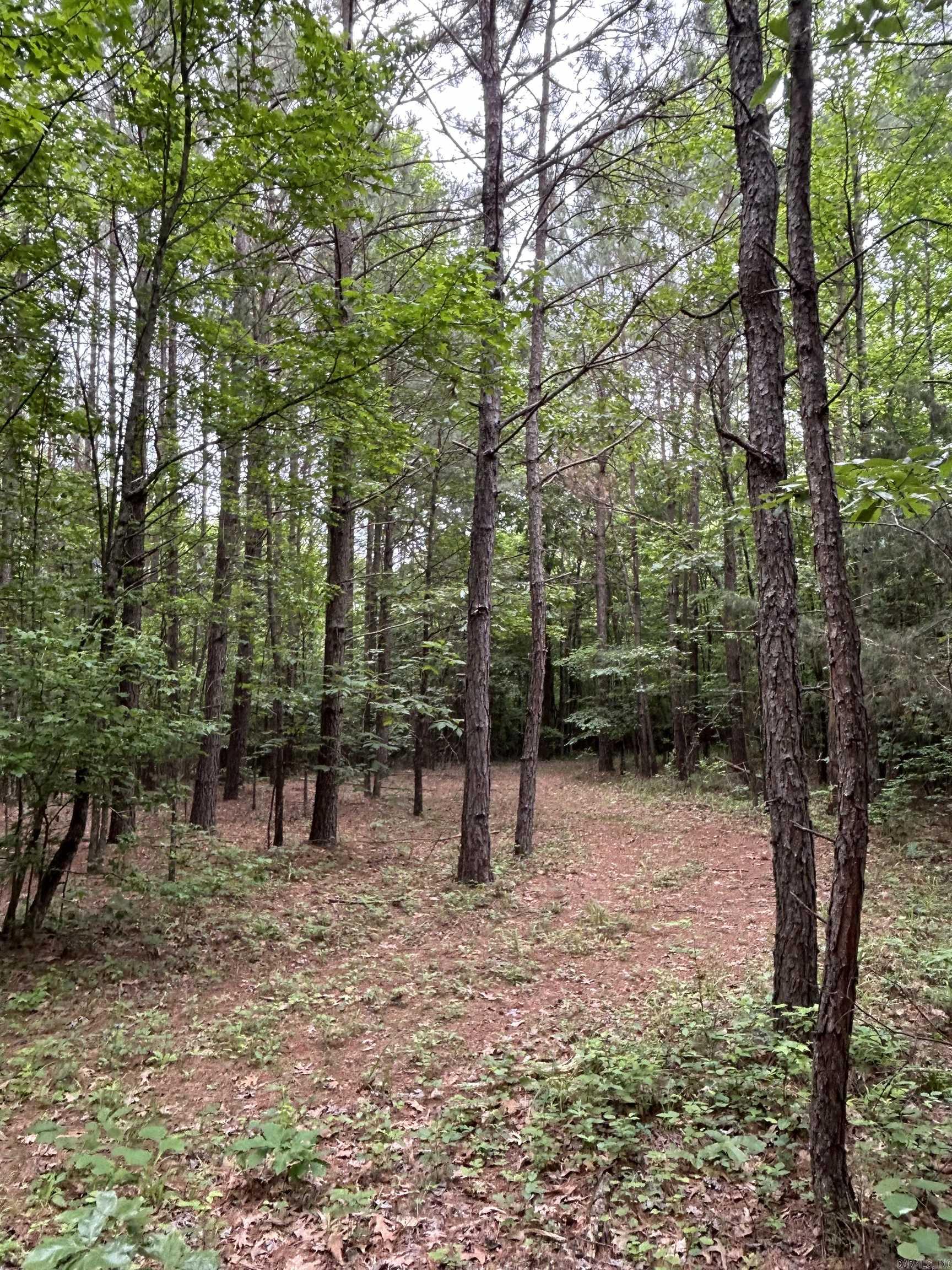 Wickes 19-5-31 - Land