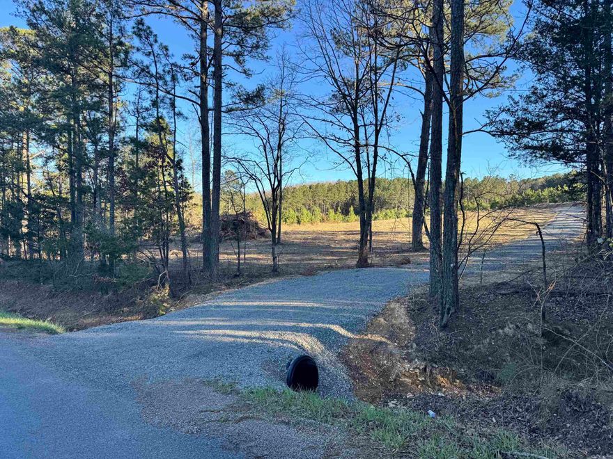 Gravel drive and small cleared area for a home are already on this acreage in Quitman. This property is just six minutes from Quitman, and only 16 minutes to the Narrows marina on Greers Ferry Lake. Clear the baby pines off or let them grow for a future investment. There are trails cut through the property, and a small wet-weather creek runs down near Tarter Hill Road. Lots of white-tailed deer in the area.