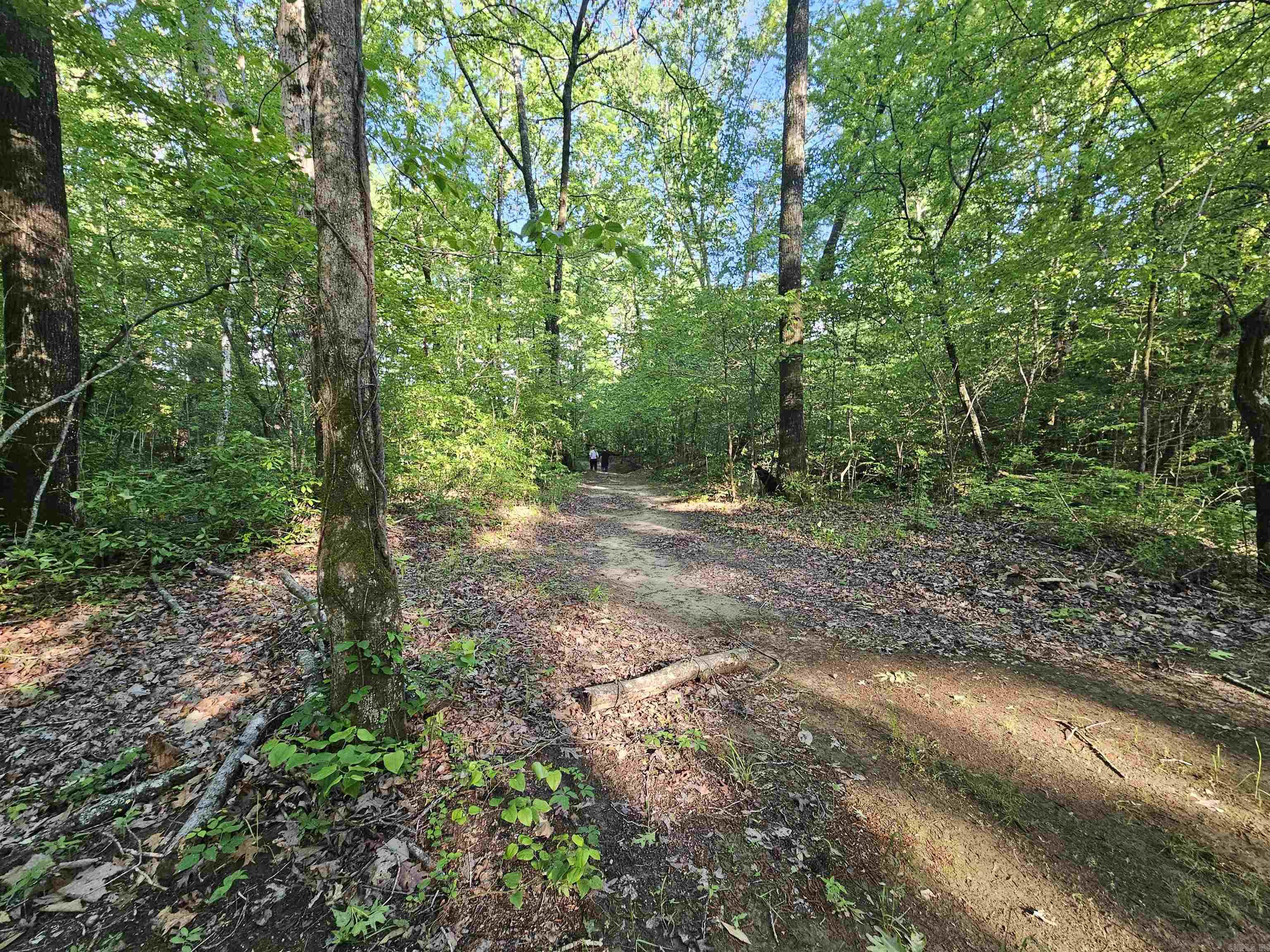 CANE CREEK MINI-FARMS - Residential