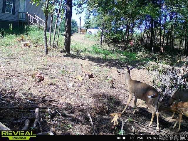 WONDERVIEW ESTATES - Residential