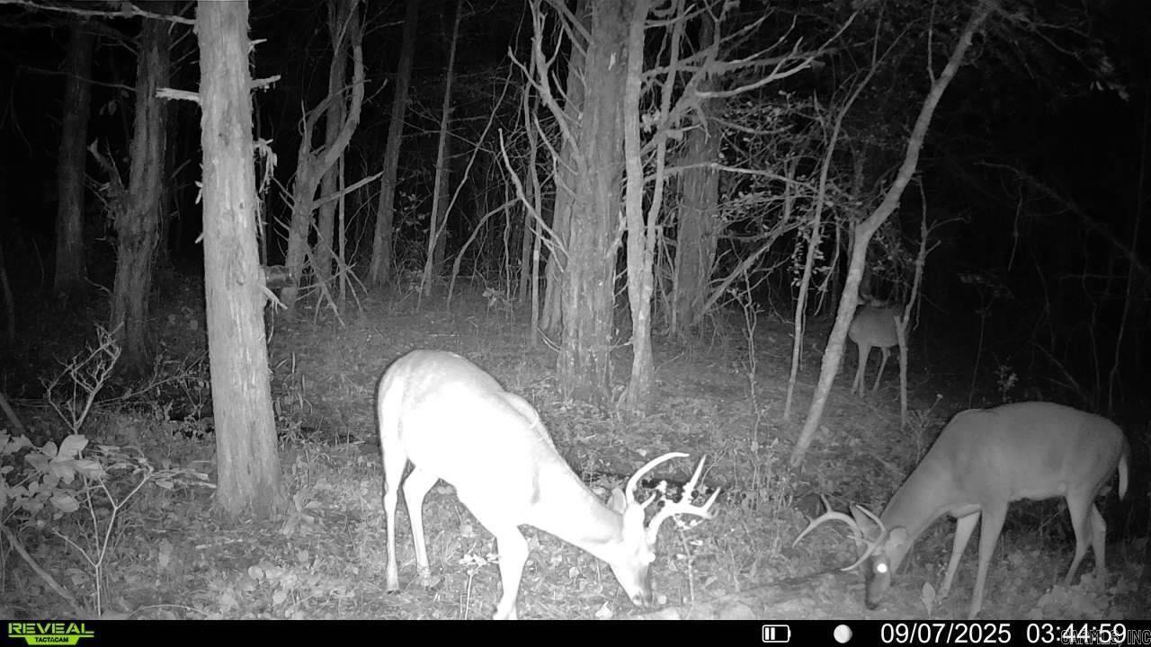 WONDERVIEW ESTATES - Residential