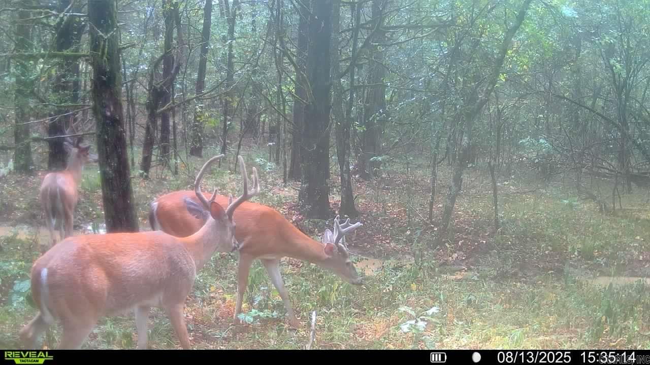 WONDERVIEW ESTATES - Residential