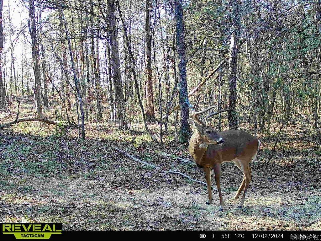 WONDERVIEW ESTATES - Residential