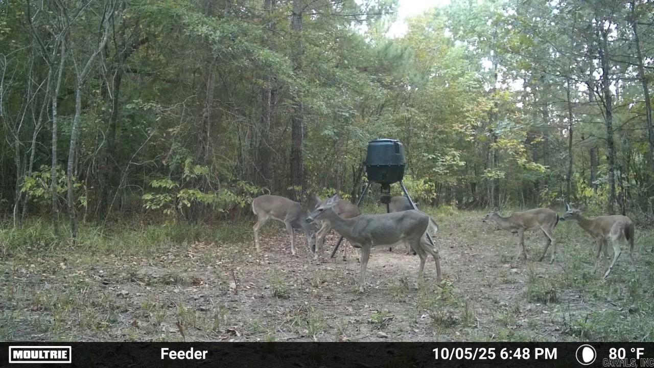 Not in Subdivision - Land