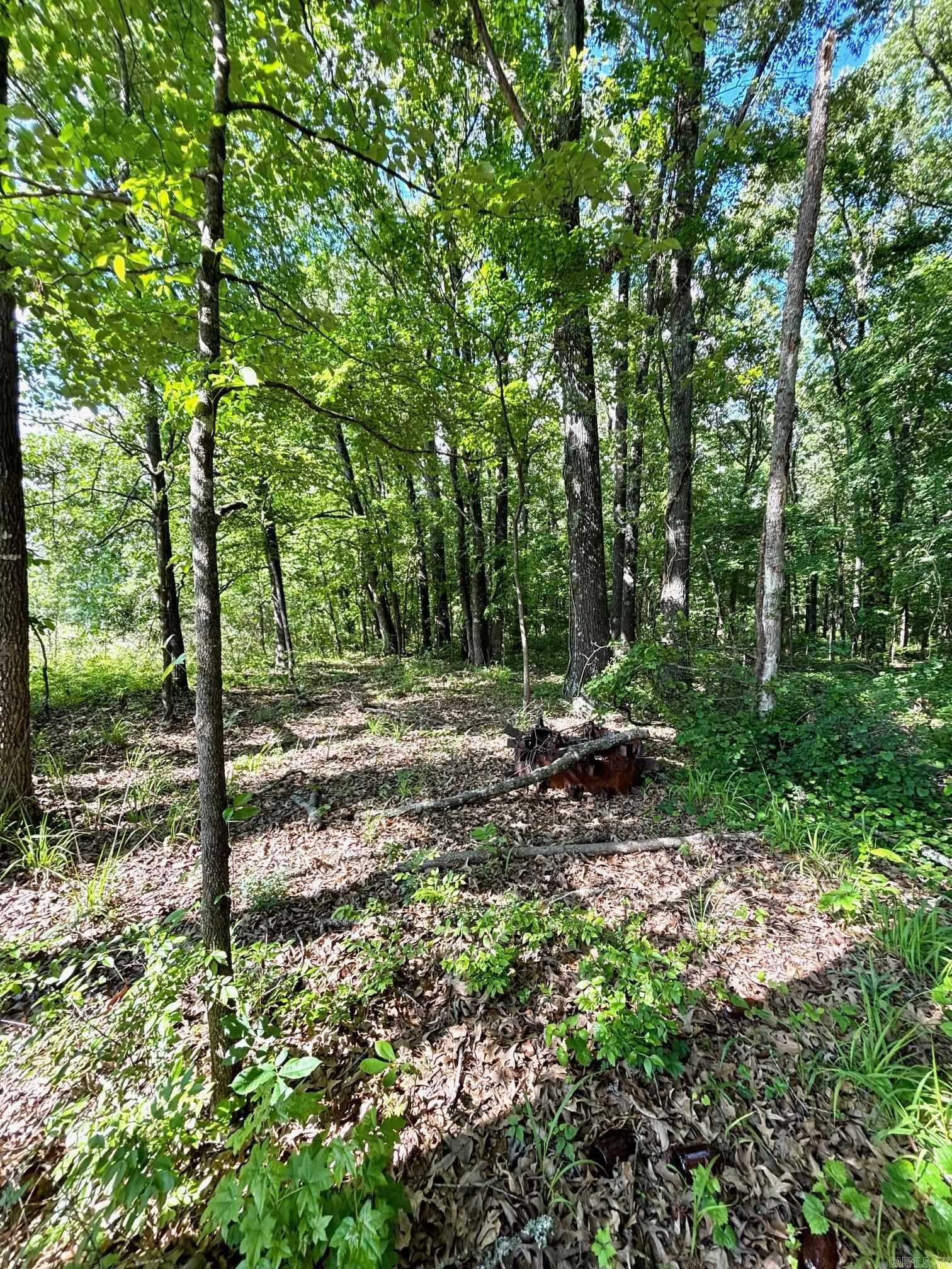 Metes & Bounds - Land