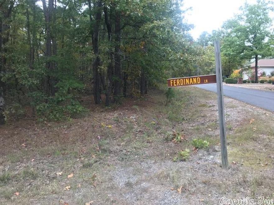 Very Nice CORNER LOT in area close to Coronado Golf Course. Lovely Nice size trees and currently no home on 1 side.   Enjoy riding your golf cart in this area and be at the course in minutes.  Buy in Fee applies if buyer does not already own property in Village