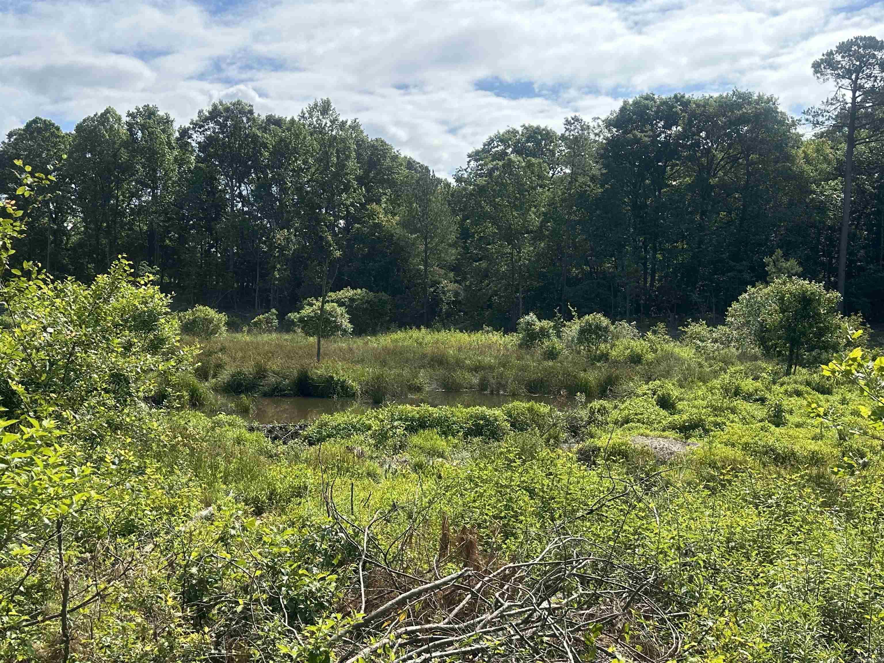 Old Washington - Land