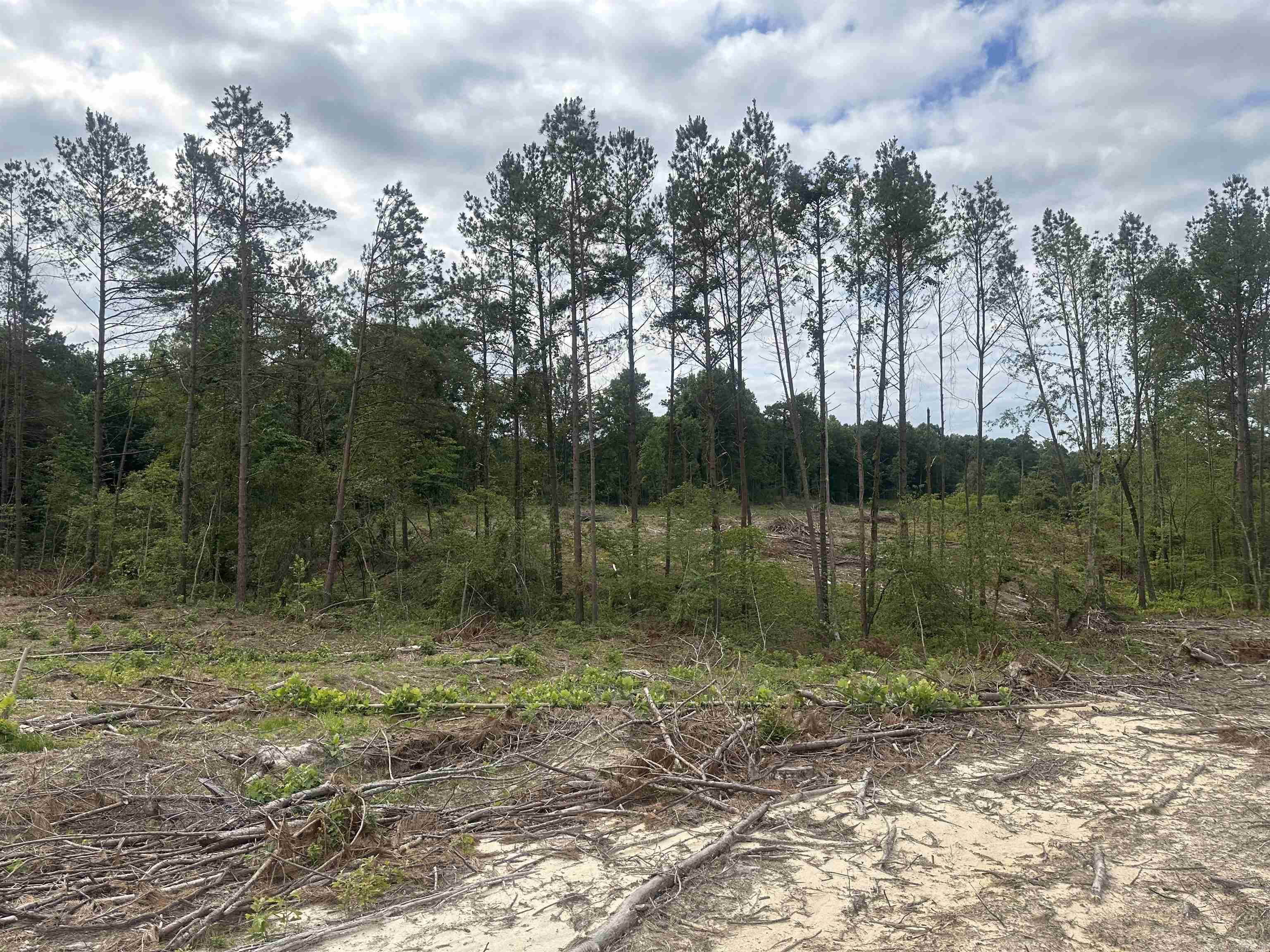 Old Washington - Land