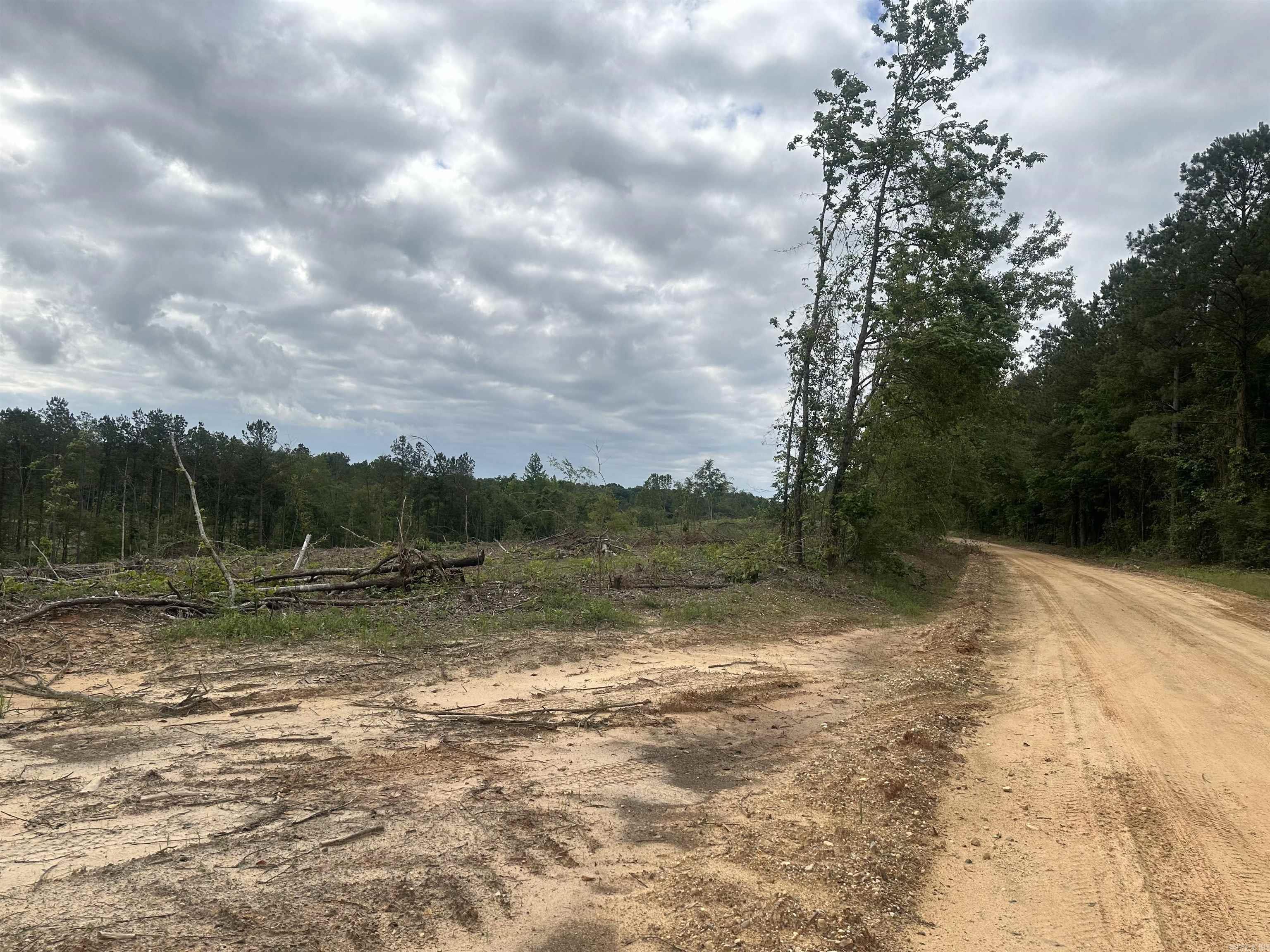 Old Washington - Land