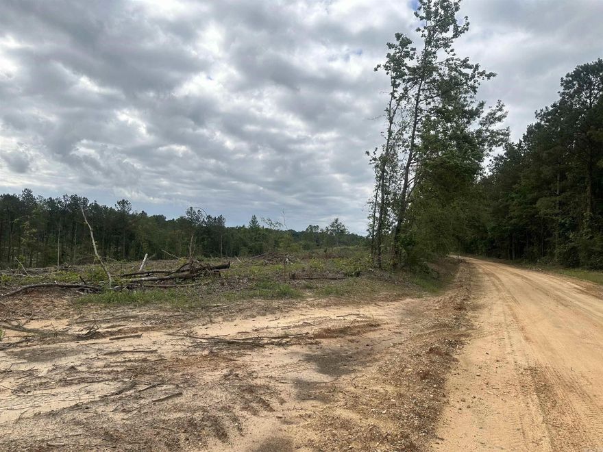 The Hempstead RD 19 Tract (#03019-03737) is a ±45-acre tract located in Hempstead County about eight miles north of Hope, AR and four miles east of historic Old Washington, AR (North 33.78320°, West 93.61468°).  Access is excellent with Hempstead Road #19, a gravel county road, providing roughly 3,000 feet of frontage along the west side of the tract.  All merchantable timber, nearly 32 acres, was harvested from the property in December of 2023.  The remainder of the land features an intermittent creek consisting of mixed hardwood and wetland habitat. The property is ready to be reforested or converted to pasture.  The topography consists of upland/rolling hills sloping down to the middle of the property where an intermittent creek drains flows in a southerly direction.  Some rural utilities are available along this gravel county road allowing for camp/home site potential within the Hope School District.