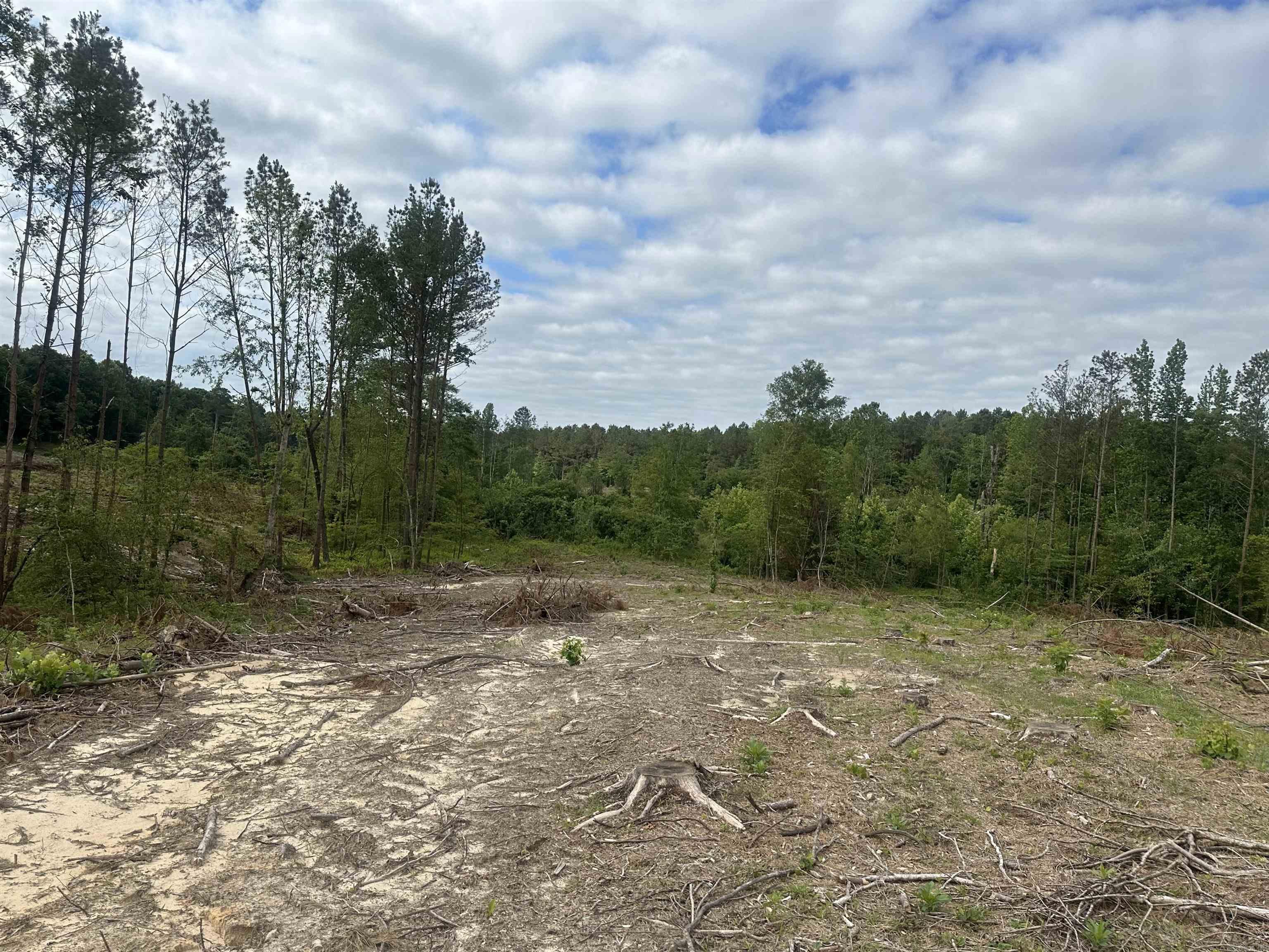 Old Washington - Land