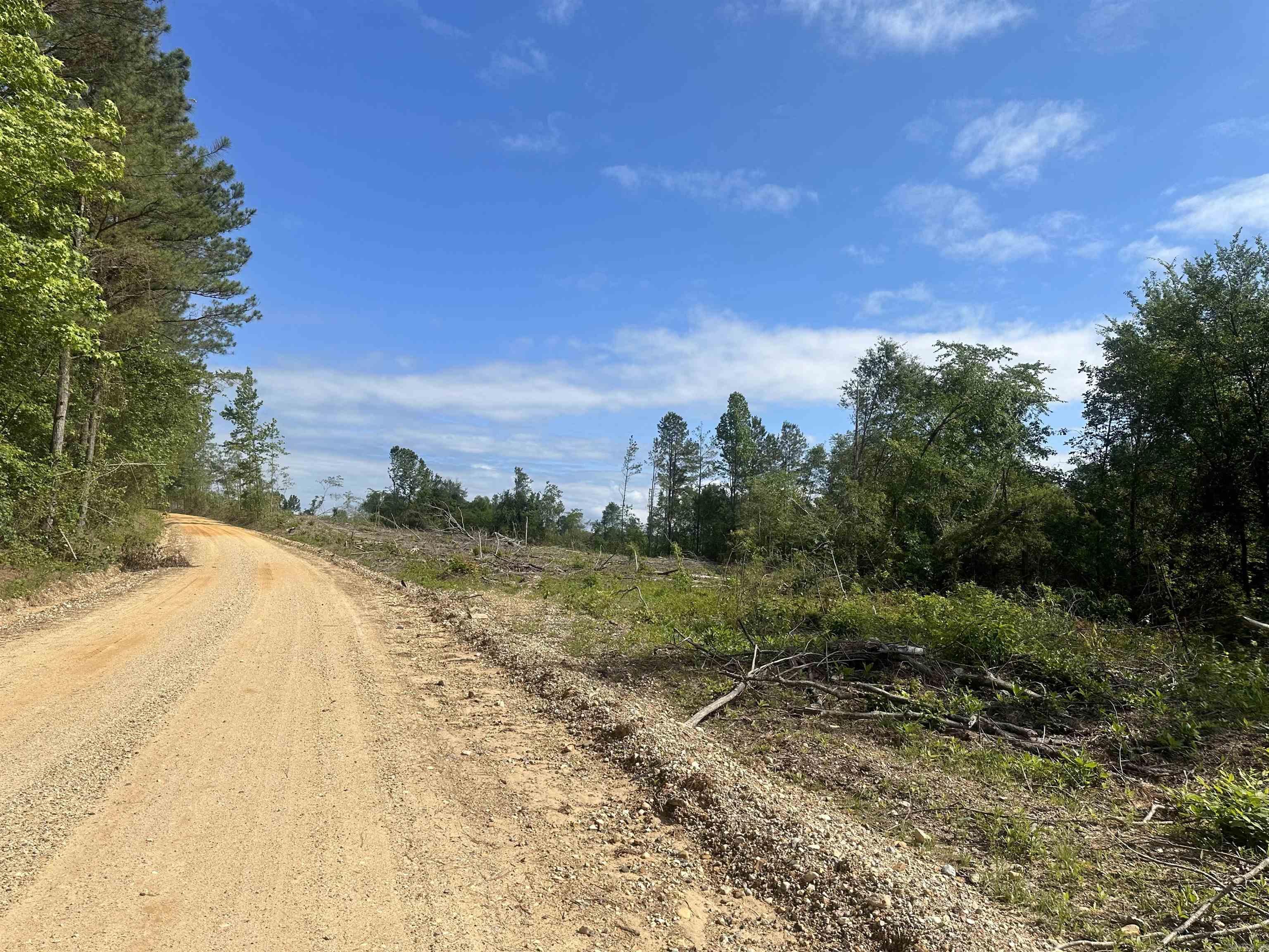 Old Washington - Land