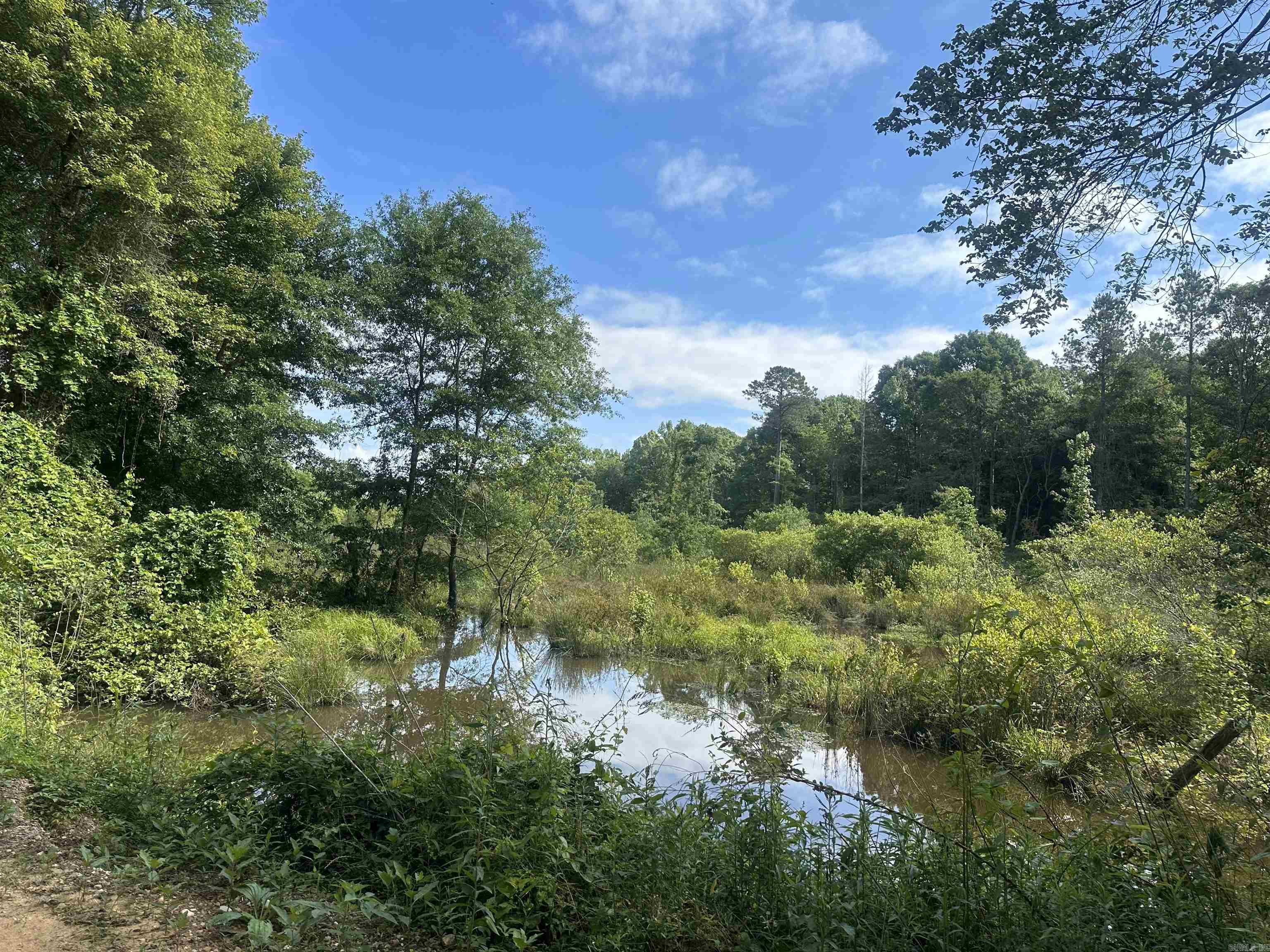 Old Washington - Land