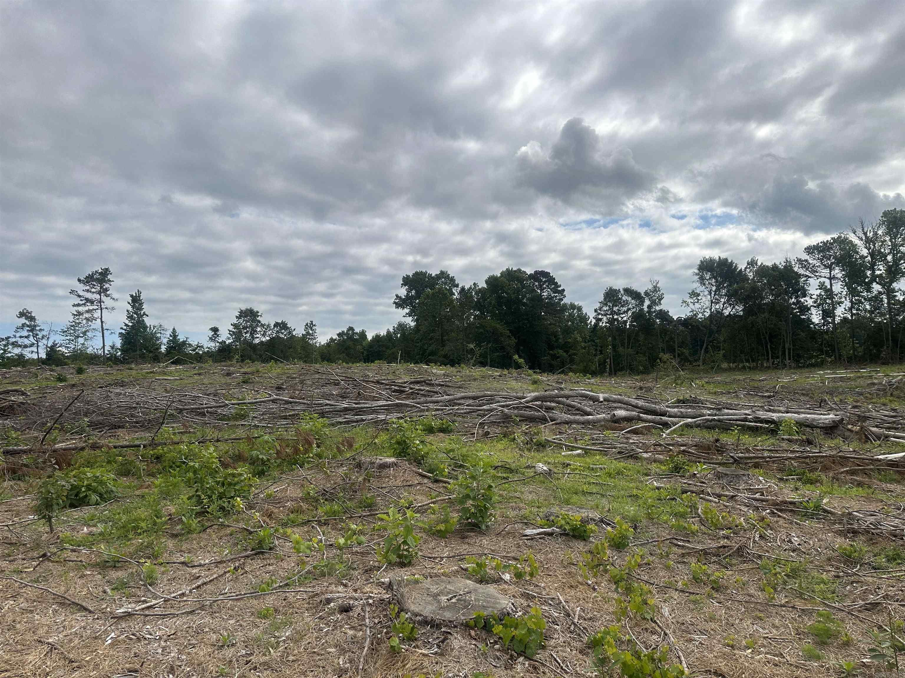 Old Washington - Land