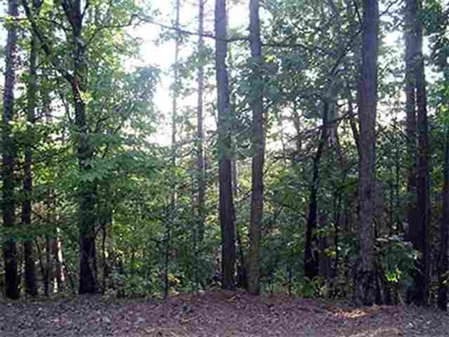 Large 1+ acre lot with view of Lake Coronado with trees trimmed and/or topped.