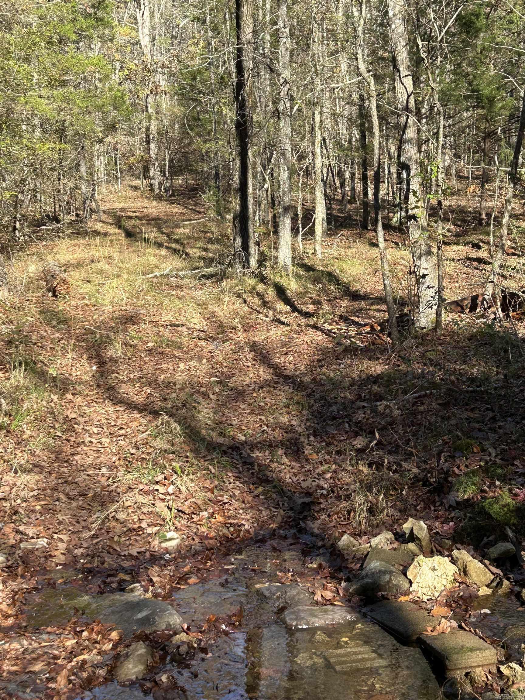 Metes & Bounds - Land