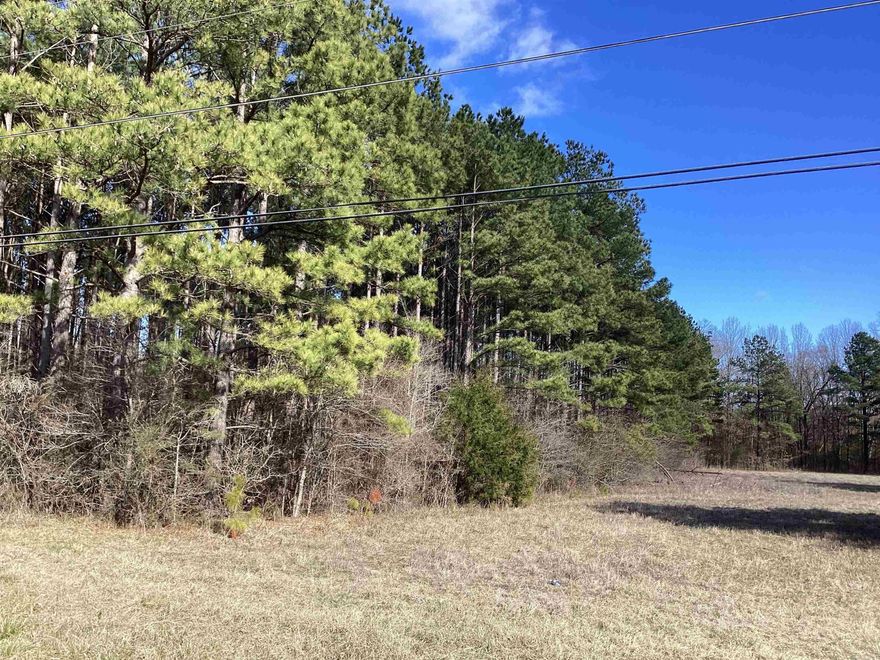 great location! Located on city limits line, borders behind two medical clinics, could be commercial property in near future. Has creek running through east end of property, mixture of hardwood and pine throughout property. Highway frontage!
