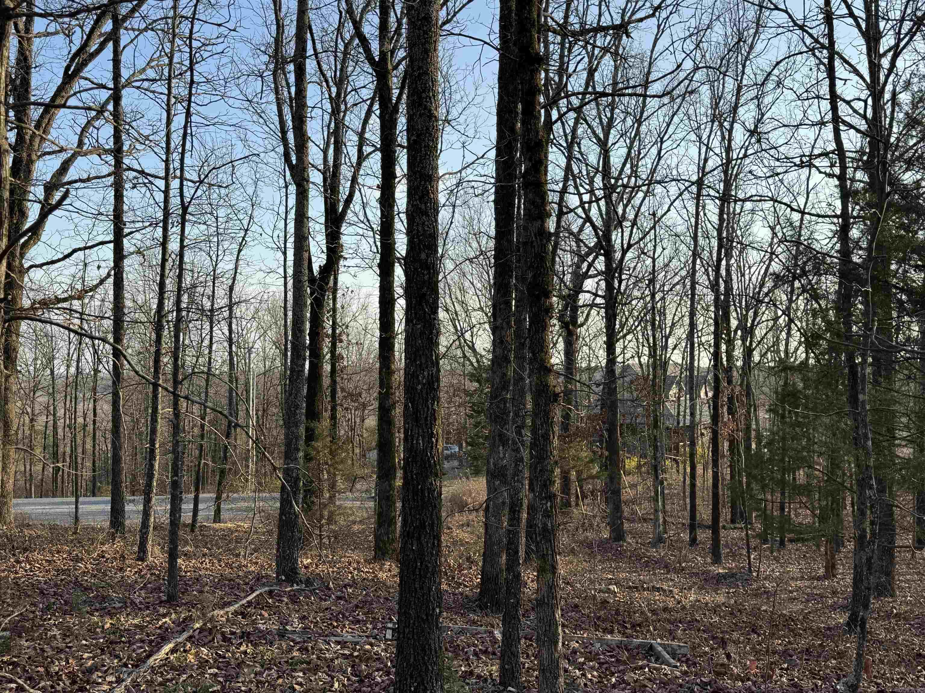 Rocky Branch Estates - Land