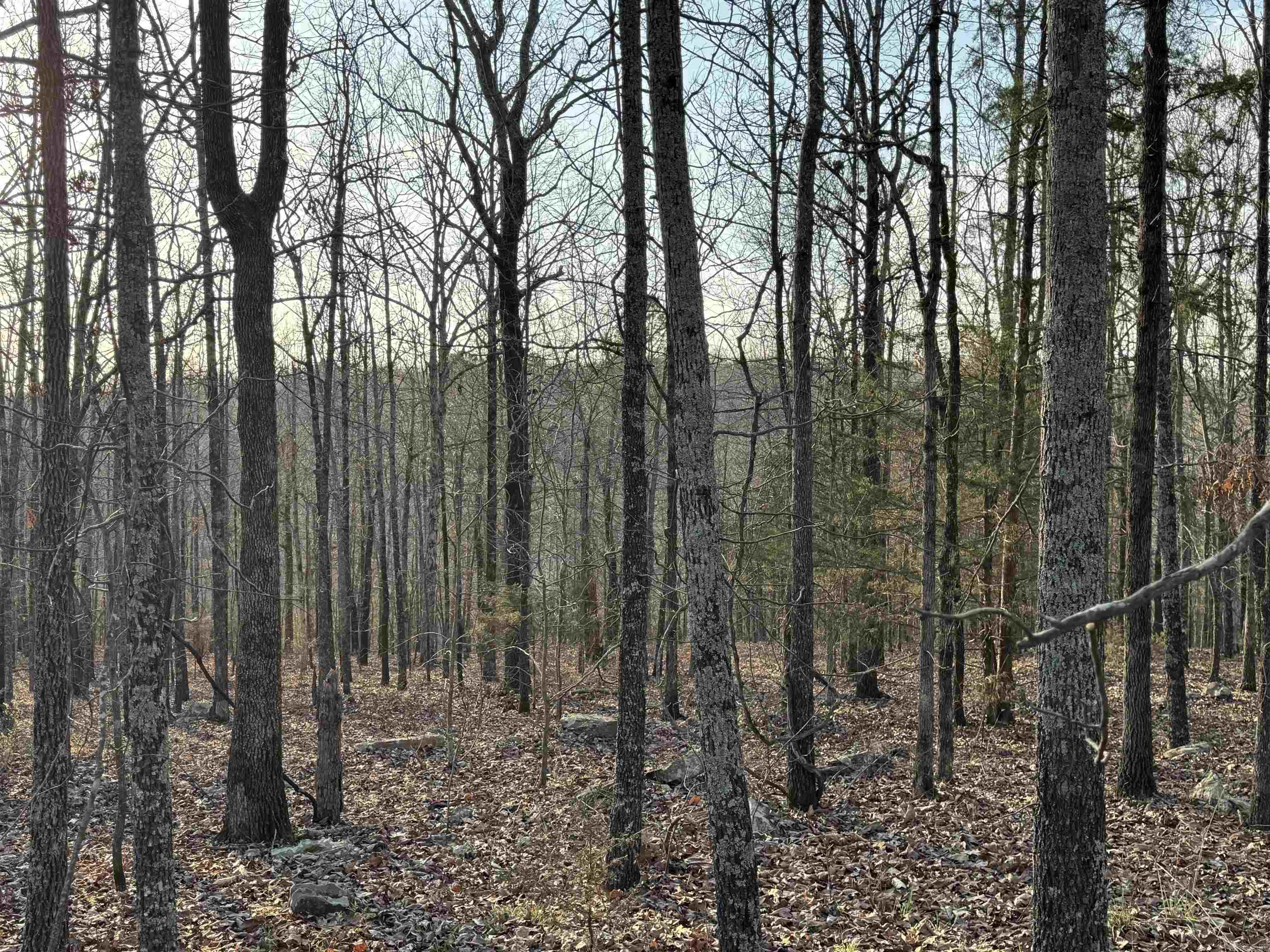 Rocky Branch Estates - Land