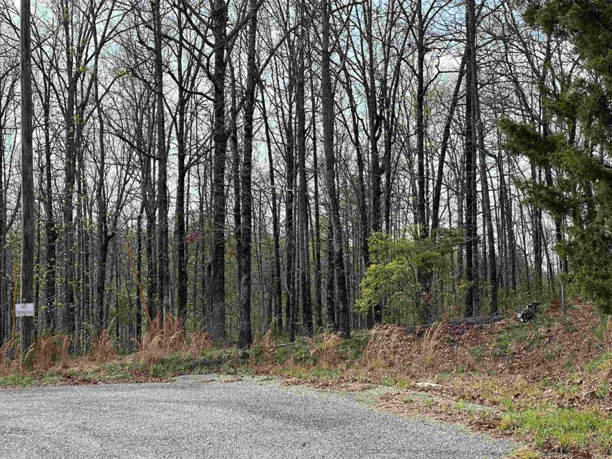 Beautiful large lot in Beebe, great rural location. Property does have restrictions. No Mobile Homes allowed.