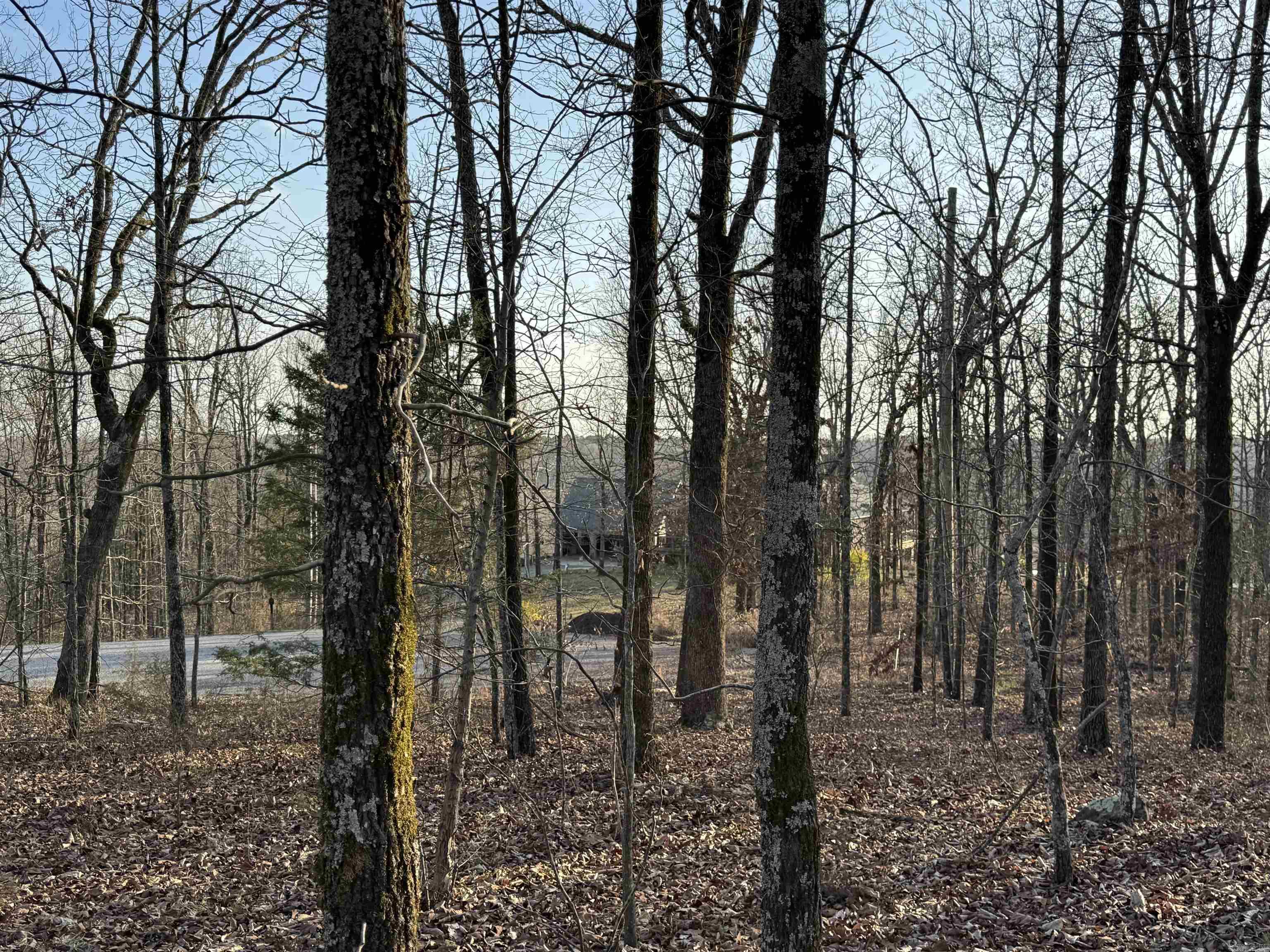 Rocky Branch Estates - Land