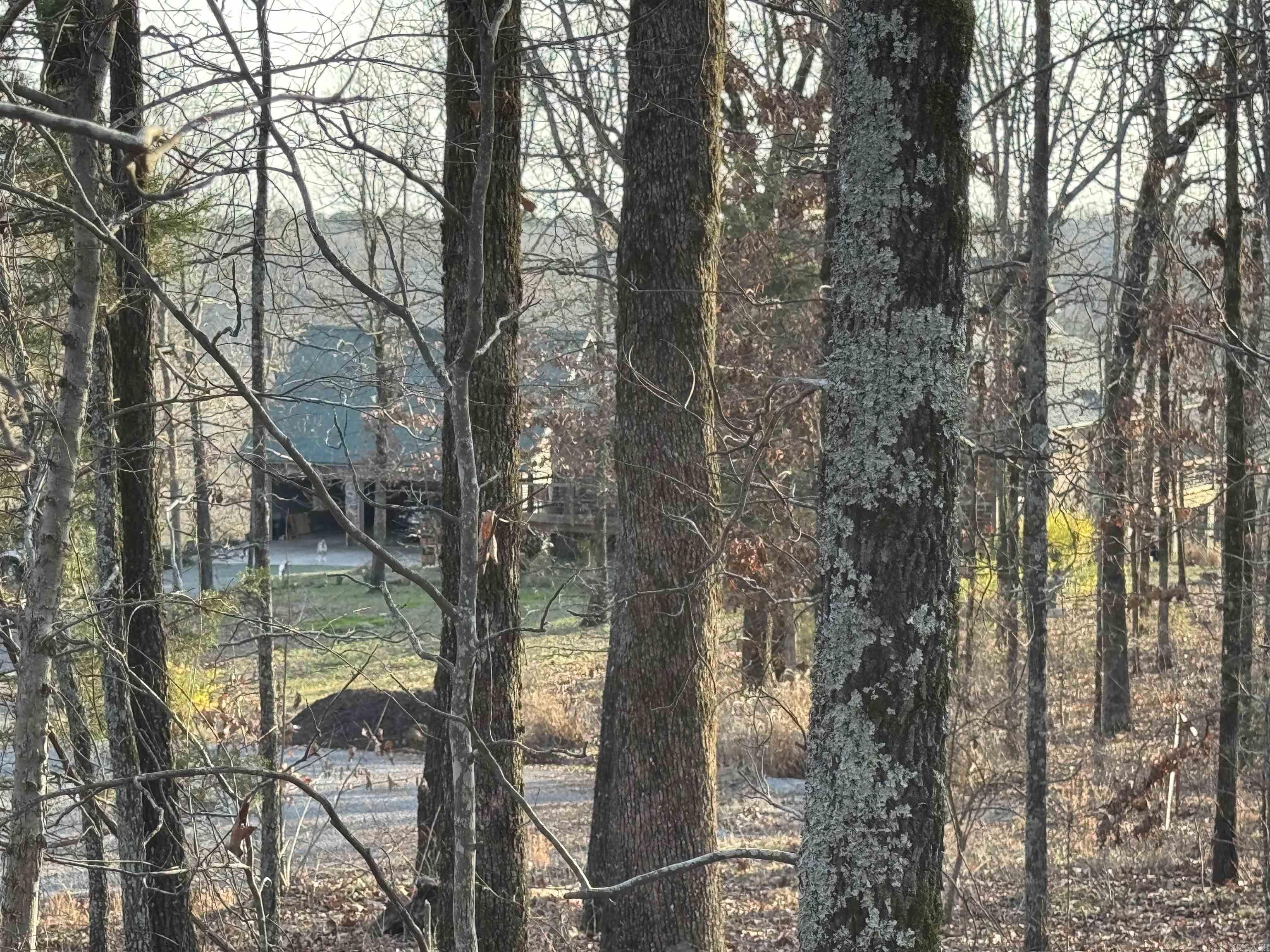 Rocky Branch Estates - Land