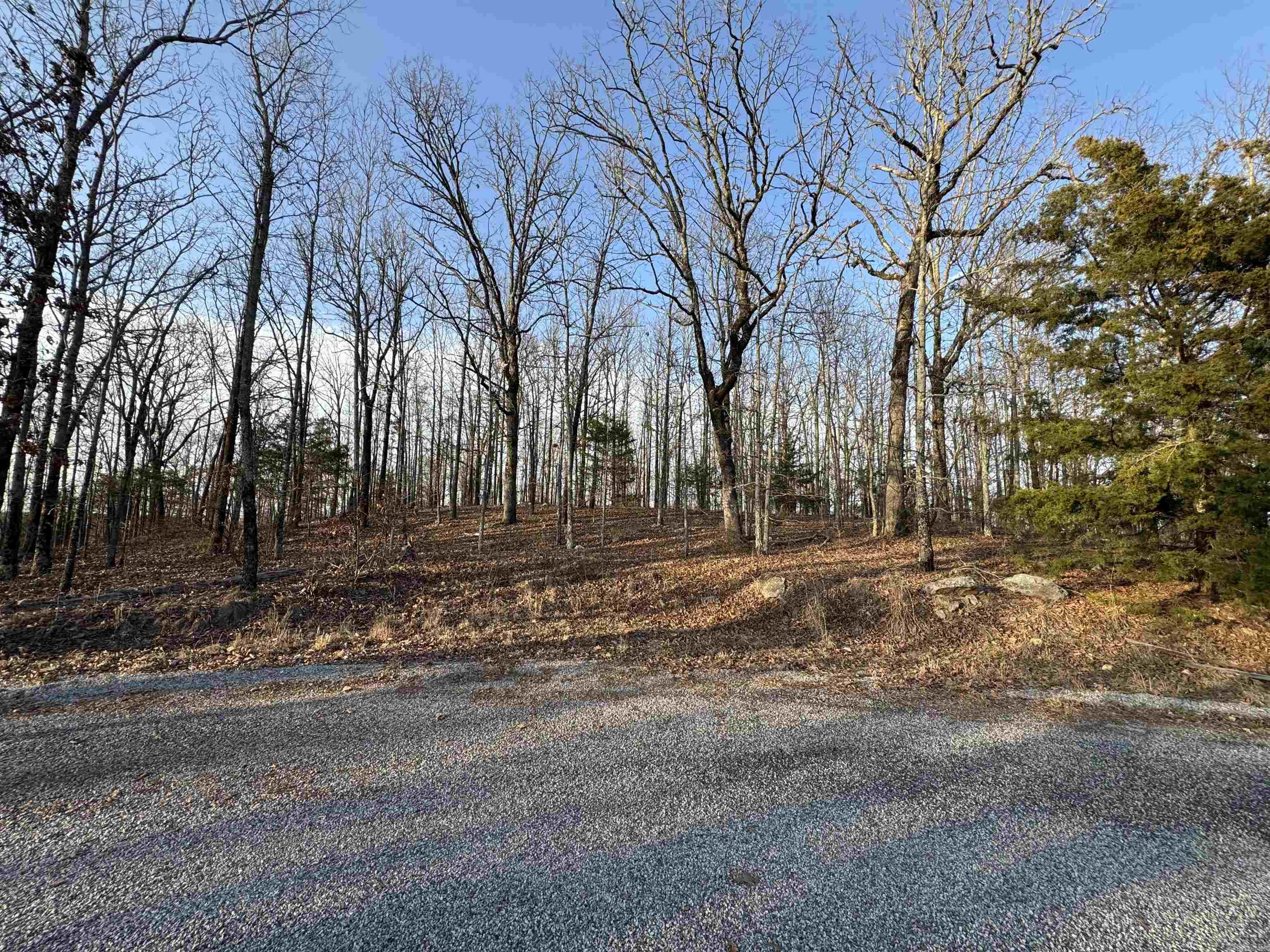 Rocky Branch Estates - Land