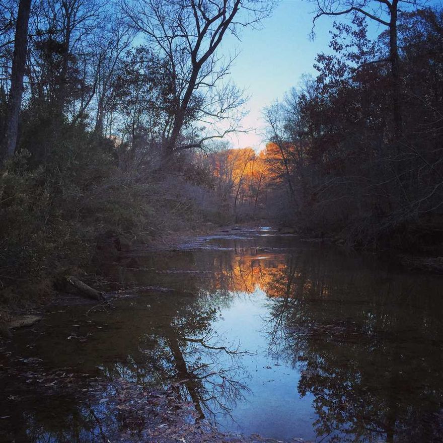 460 acres for sale on Holly Mountain Rd in Clinton, AR. This property has everything; Ozark Mountains, valleys, timber, streams, springs, ponds, caves, grass and bedding areas, caves, bluffs, views, pine, hardwood, acorns, white tail deer, turkey, bear, rabbits, squirrels, ducks (yes ducks), level building sites, ATV UTV 4- wheeler hiking and horseback riding trails, blacktop frontage and logging road access.The Weaver Creek branch of the Little Red River flows south through the east half.