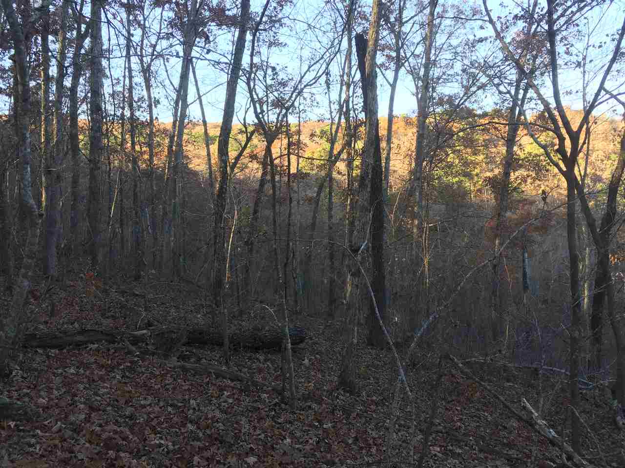 Metes & Bounds - Land