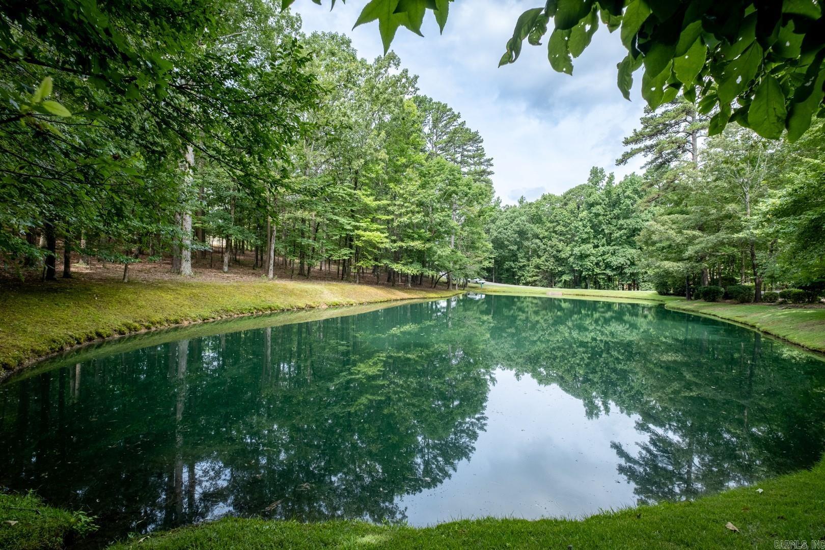 CHENAL DOWNS - Residential