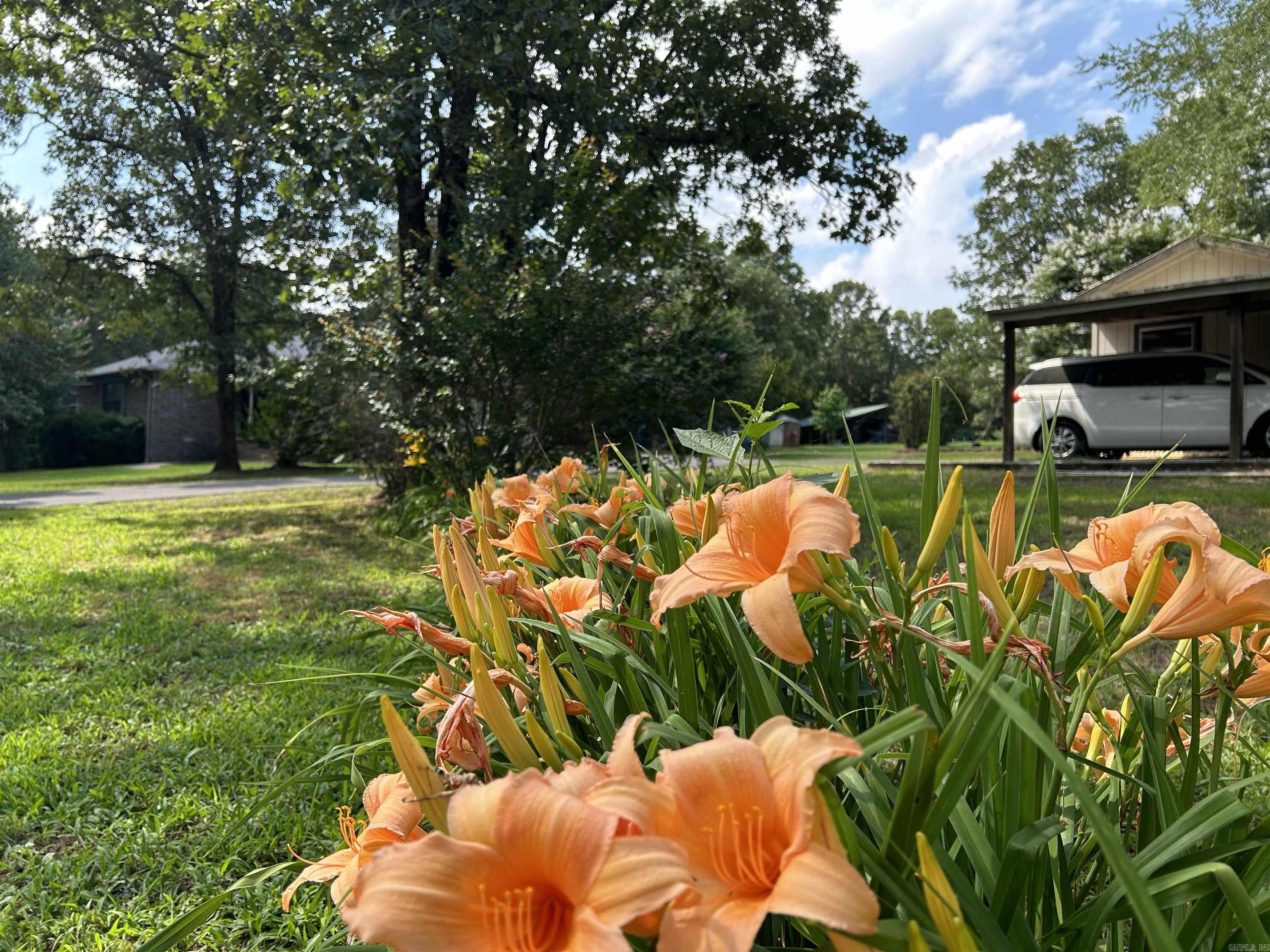 Cumberland Park - Residential