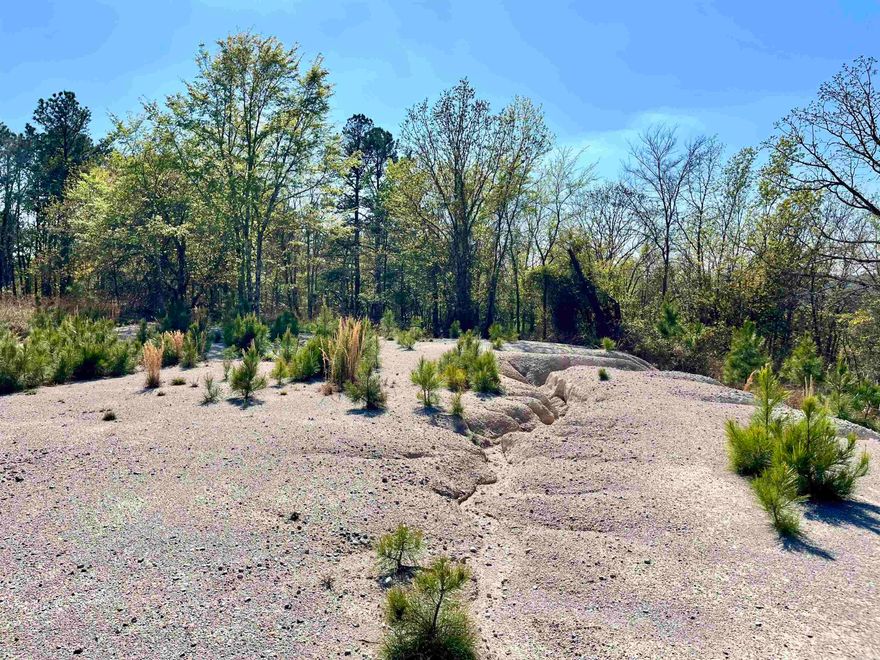 Hi, I’m 4664 E Grand Avenue—and I’m not your average piece of land. I offer just under 30 acres of rolling, hilly terrain, creating a natural landscape that feels both private and expansive. With a beautiful mix of wildlife, mature trees and seasonal blooms, I bring a sense of seclusion while still being conveniently located. I carry a bit of history too, with old crystal mining areas tucked throughout my landscape, adding a unique touch you won’t find just anywhere. Whether you’re looking for a private retreat, recreational land, or a place to bring your vision to life, I just might be the one you’ve been searching for. Come check me out!