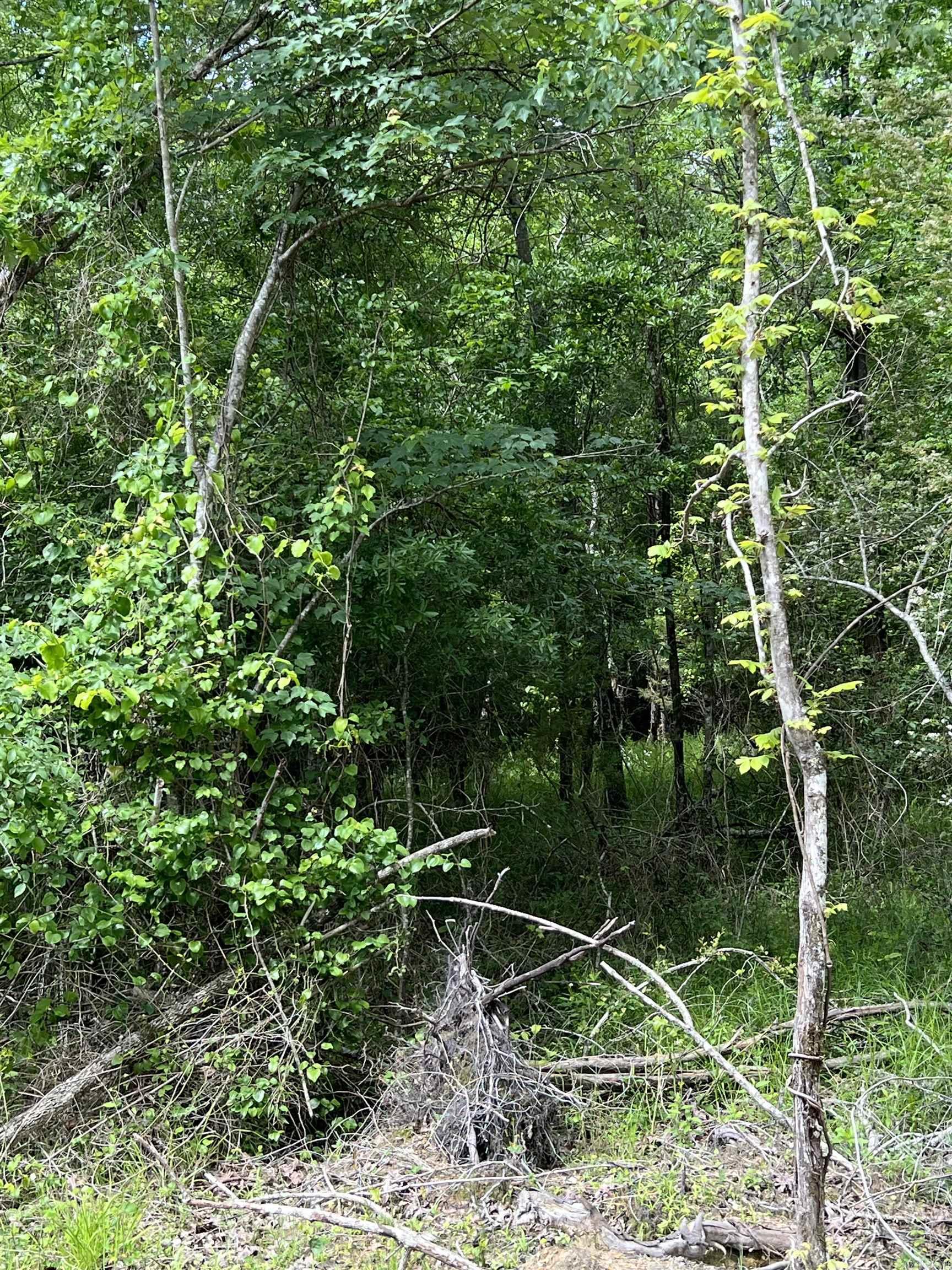 Metes & Bounds - Land