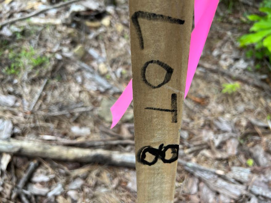 LARGE SPACIOUS 8.04± acre lot! Welcome to mobile homes 10 years old or newer at the time of executed contract. Or..build your cabin or forever home close to Centerpoint Schools. Water at the road.