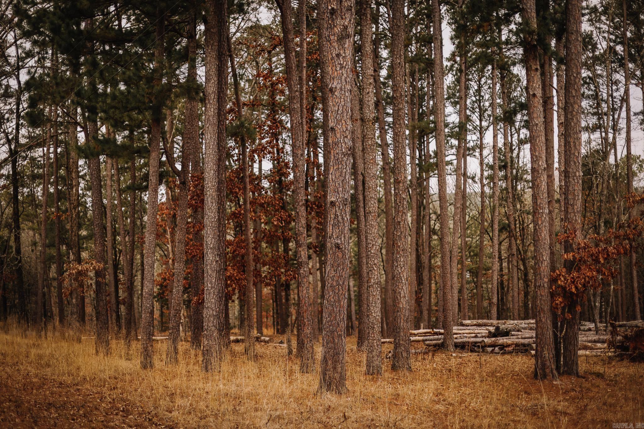 Driftwood Shores Estates - Land