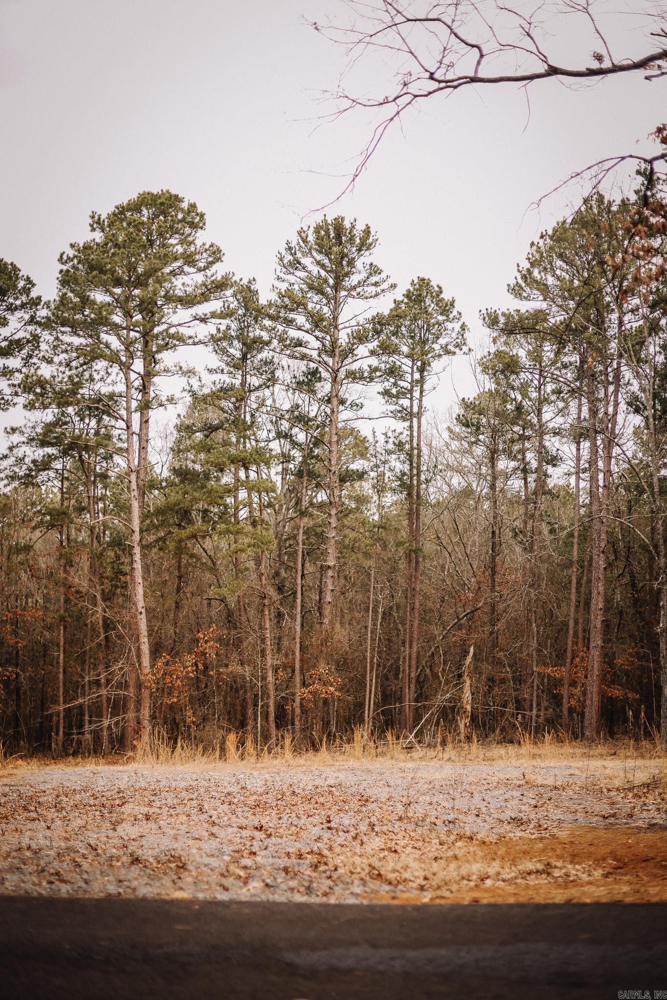 Driftwood Shores Estates - Land