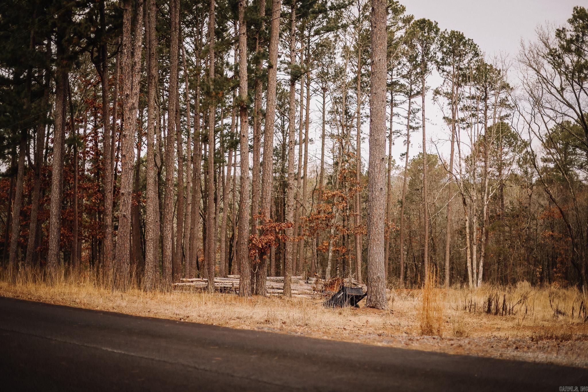 Driftwood Shores Estates - Land