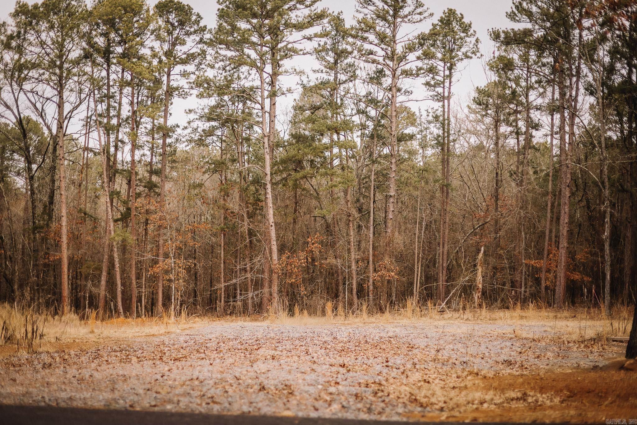 Driftwood Shores Estates - Land