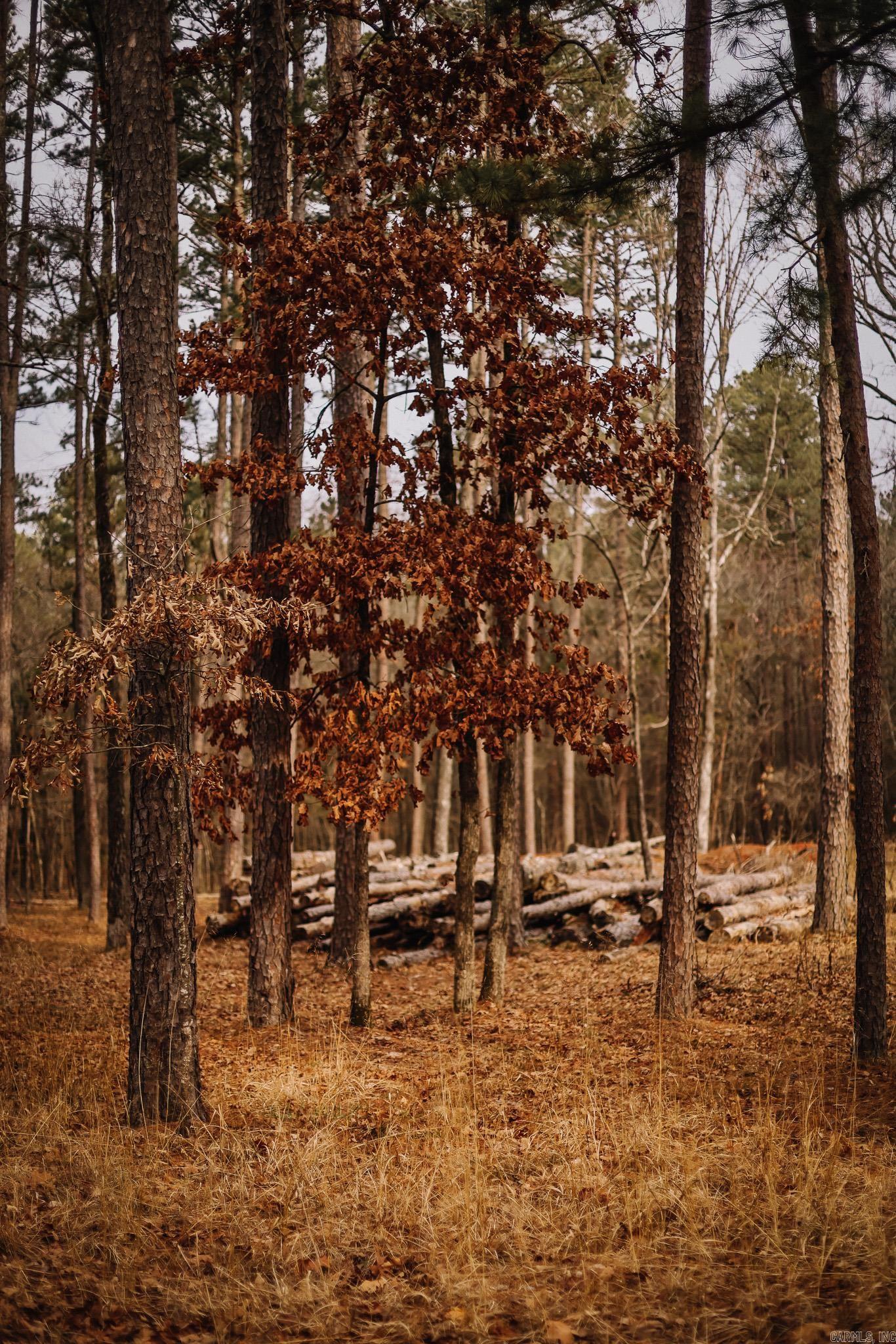 Driftwood Shores Estates - Land