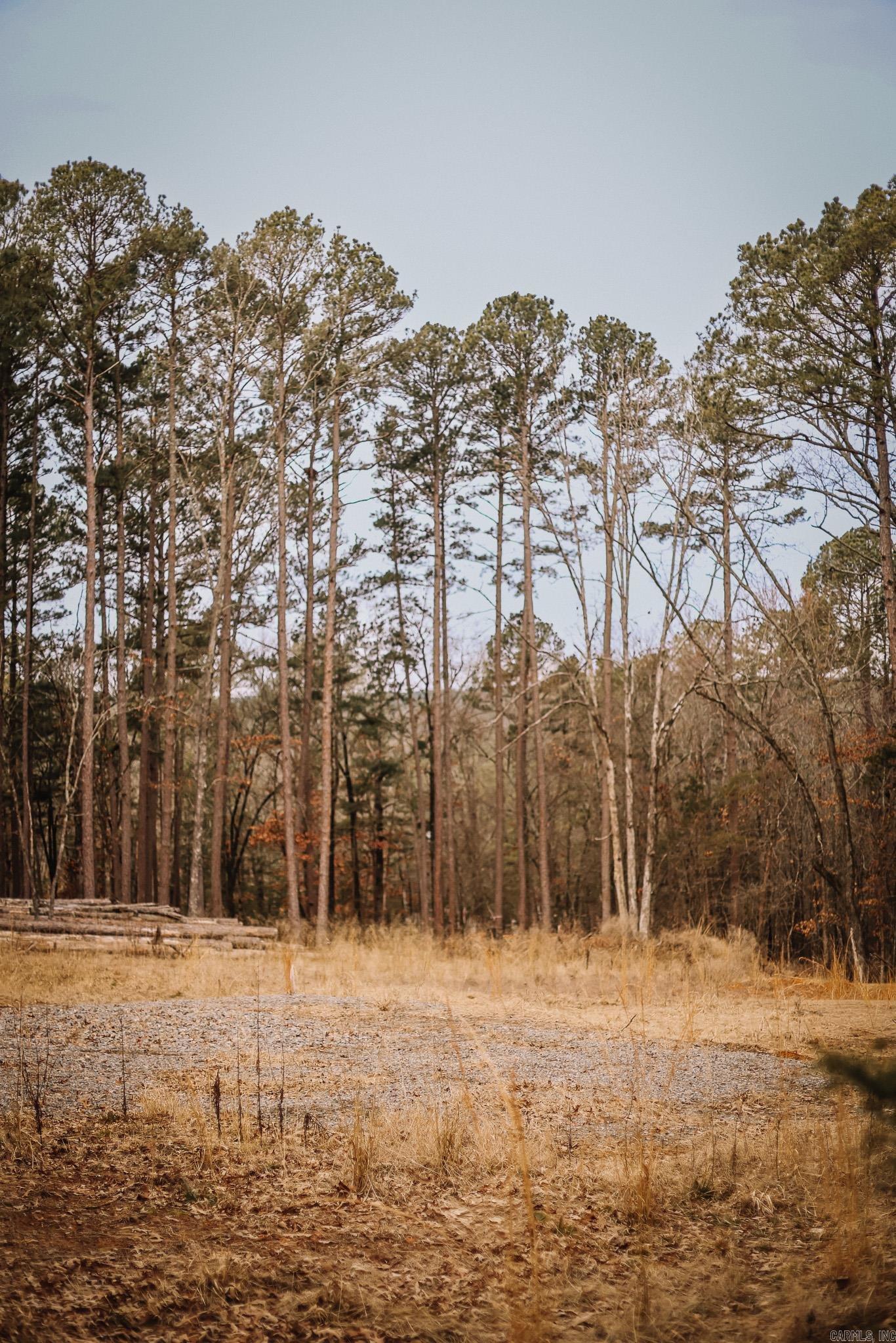 Driftwood Shores Estates - Land