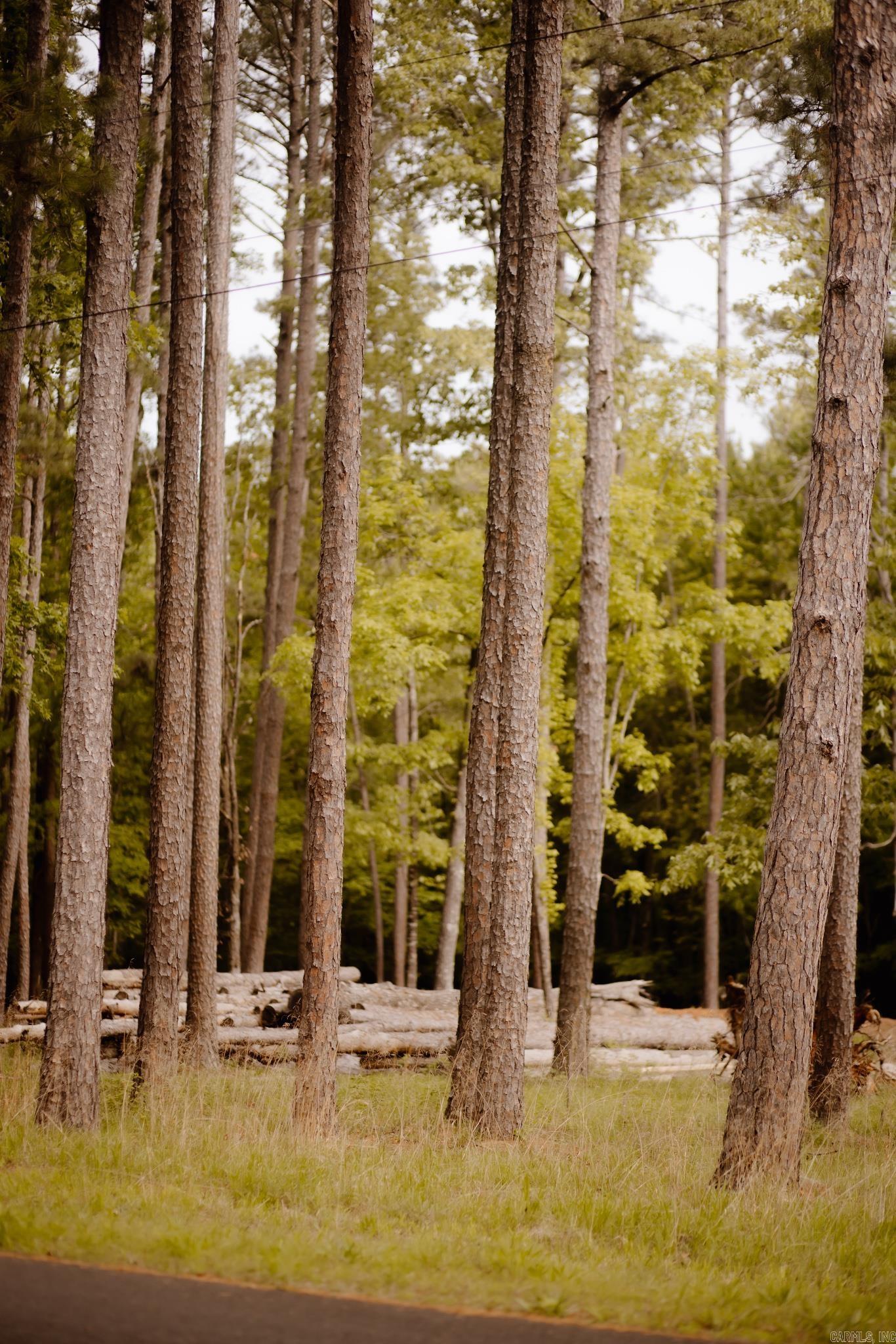 Driftwood Shores Estates - Land